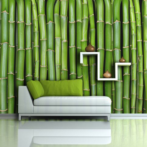 Fototapeta - Bamboo zeď 450x270  cm - GLIX DECO s.r.o.