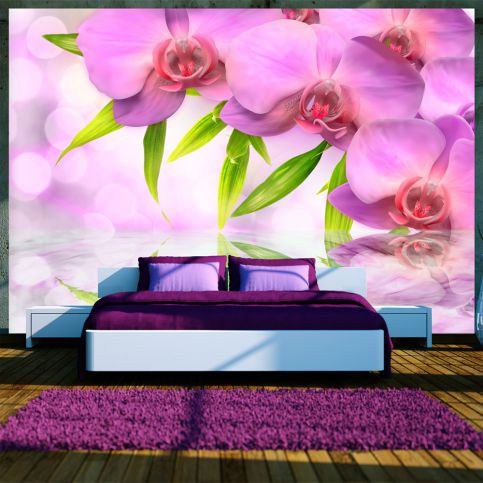 Bimago Fototapeta - Orchids in lilac colour 200x140 cm - GLIX DECO s.r.o.