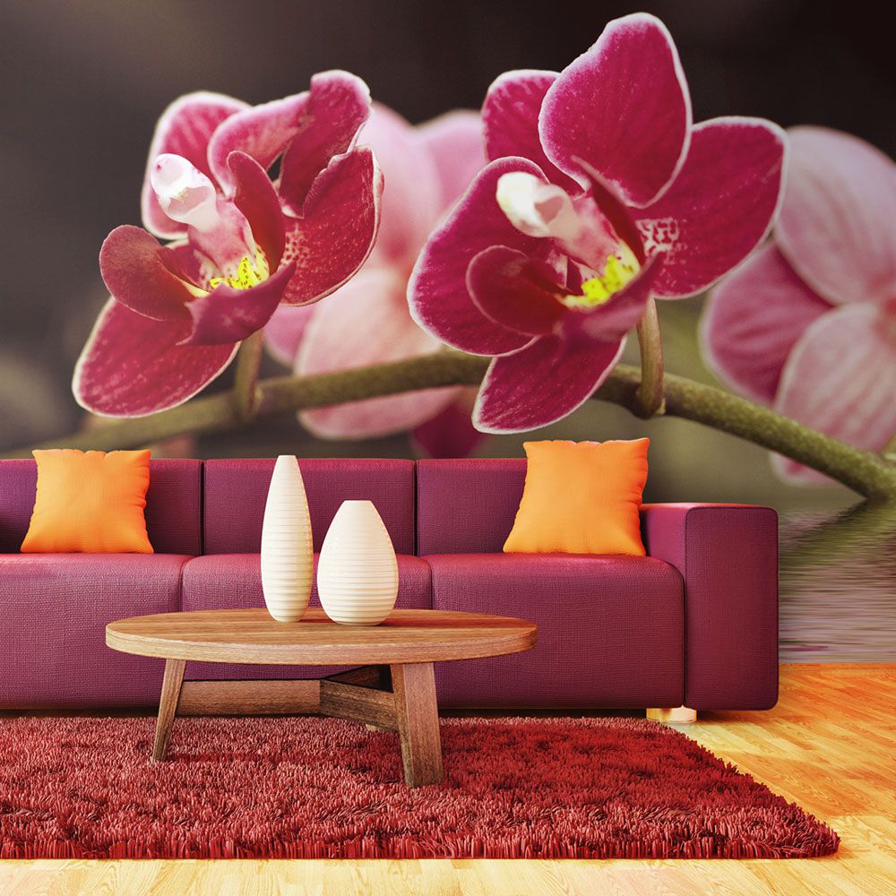 Fototapeta Bimago - Krásné květy orchidejí na vodě + lepidlo zdarma 450x270  cm - GLIX DECO s.r.o.