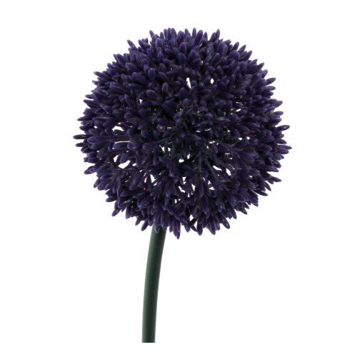 Umělá květina Česnek tmavě fialová, 68 cm - 4home.cz