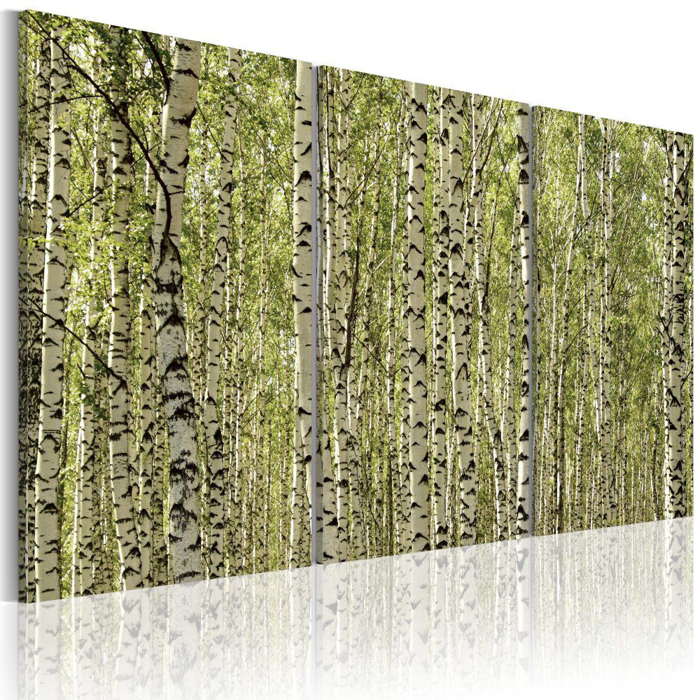 Obraz na plátně Bimago - Březový les 60x40 cm - GLIX DECO s.r.o.