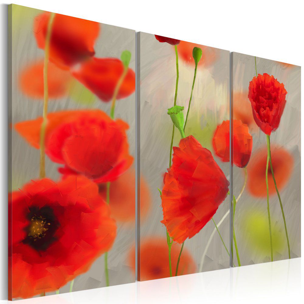 Obraz na plátně Bimago - In the thicket of poppies - triptych 60x40 cm - GLIX DECO s.r.o.
