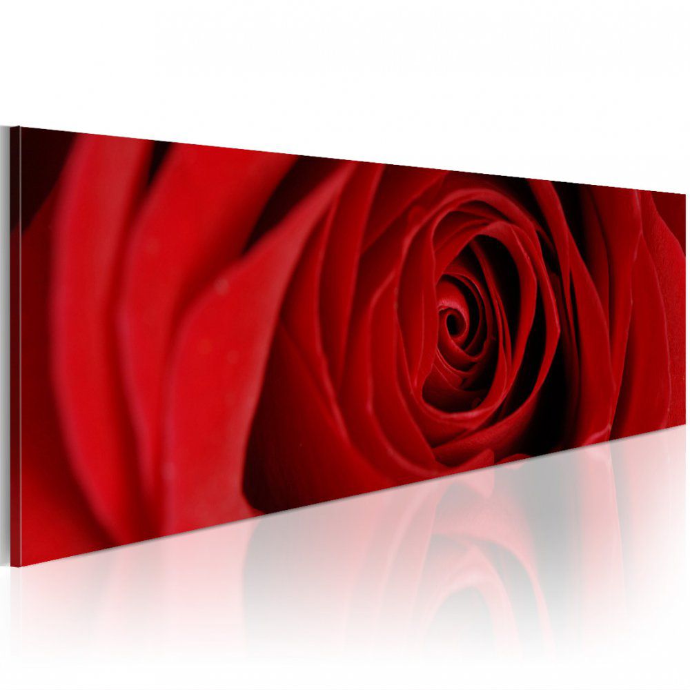 Obraz na plátně Bimago - Midnight rose 120x40 cm - GLIX DECO s.r.o.