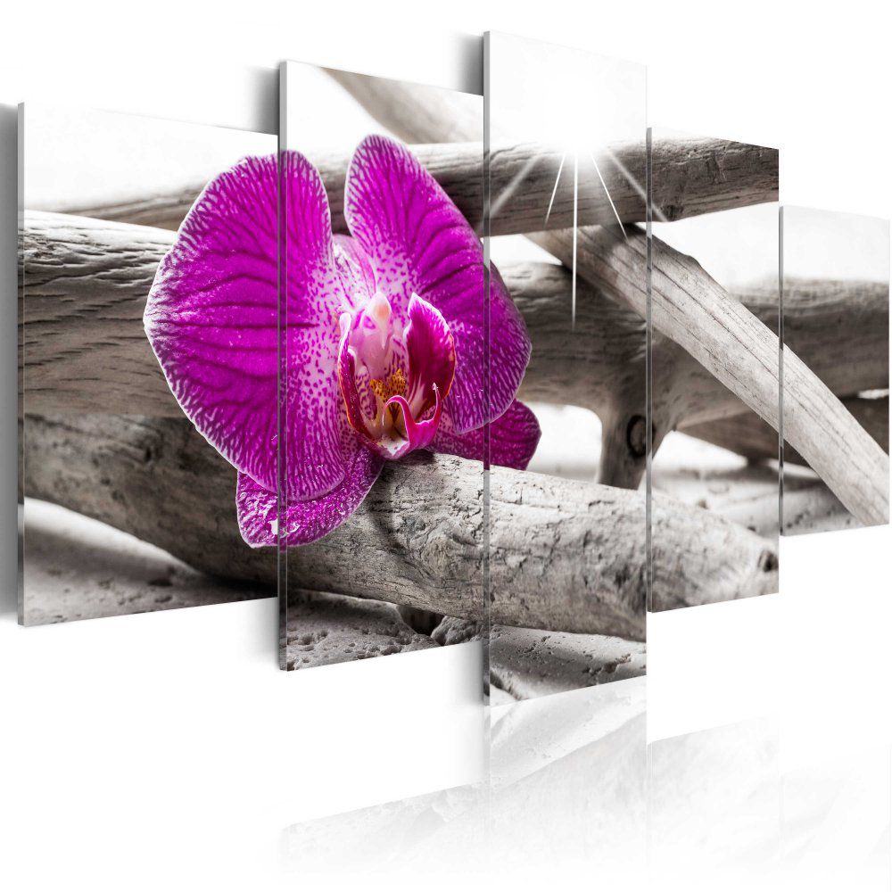 Obraz na plátně Bimago - Orchid on beach 100x50 cm - GLIX DECO s.r.o.