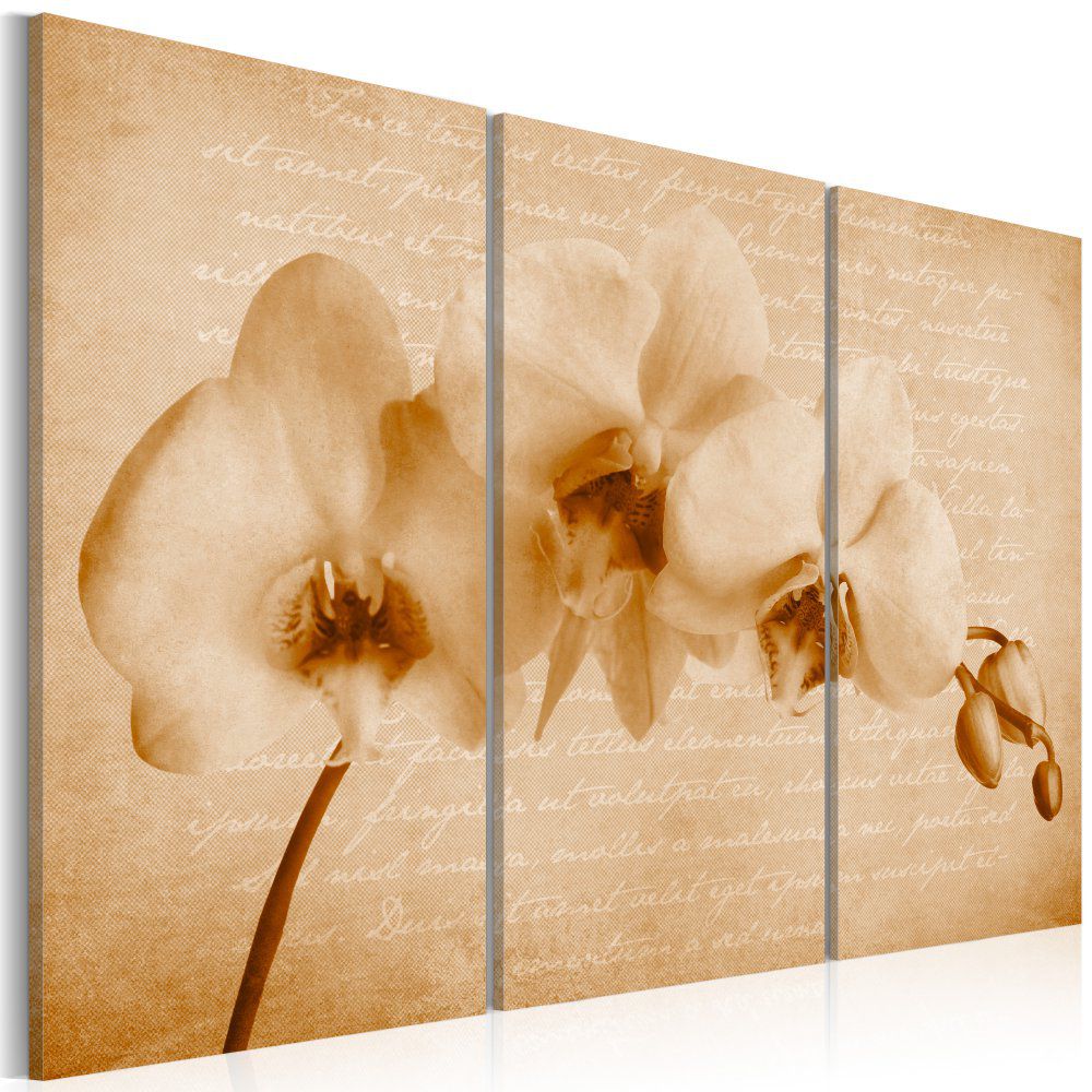 Obraz na plátně Bimago - orchidea (vintage) 60x40 cm - GLIX DECO s.r.o.