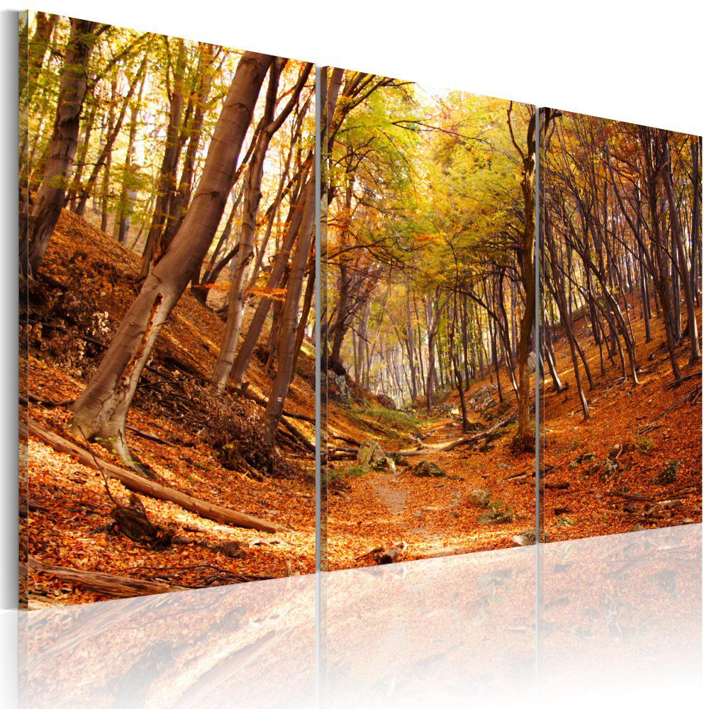 Obraz na plátně Bimago - Podzimní rokle 60x40 cm - GLIX DECO s.r.o.