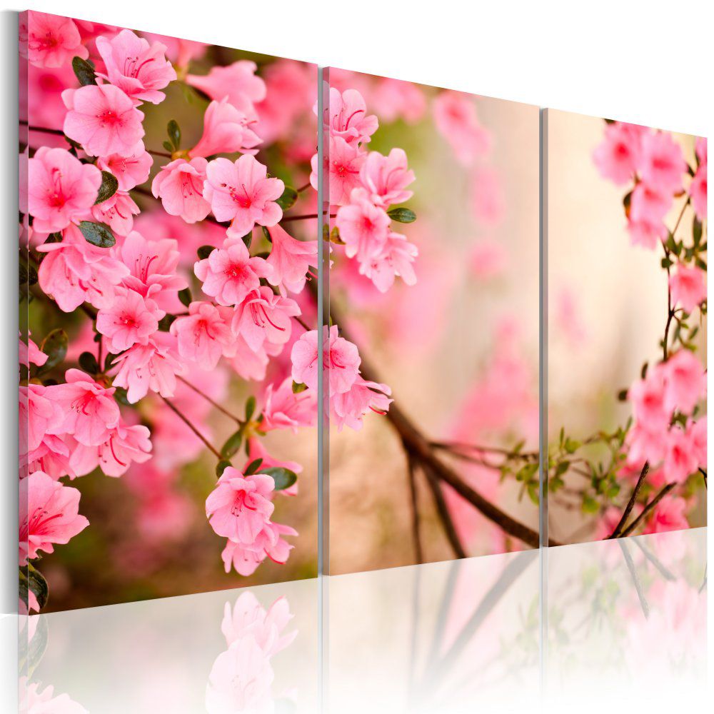 Obraz na plátně Bimago - Růžové třešňové květy 60x40 cm - GLIX DECO s.r.o.