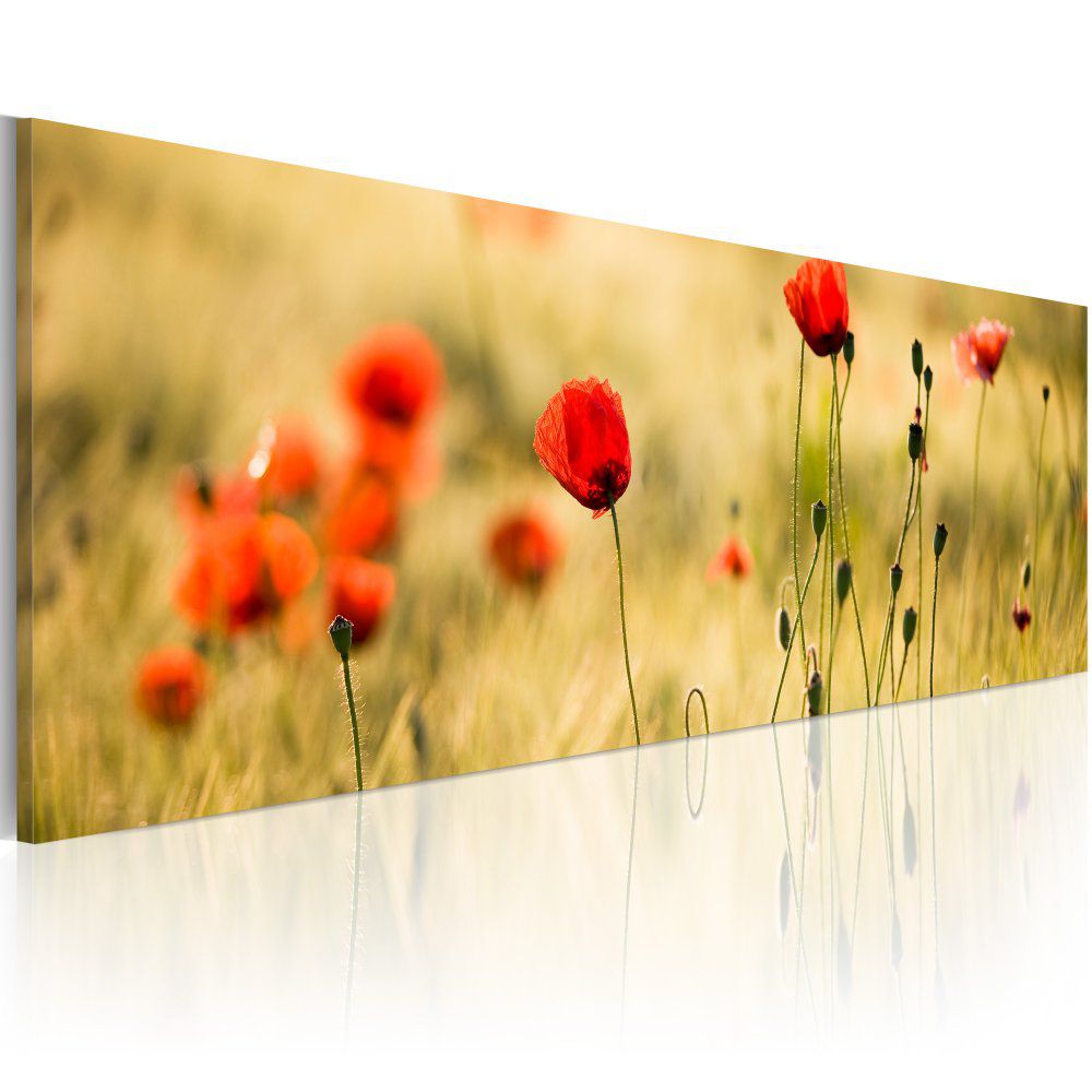 Obraz na plátně Bimago - Spring poppies meadow 120x40 cm - GLIX DECO s.r.o.
