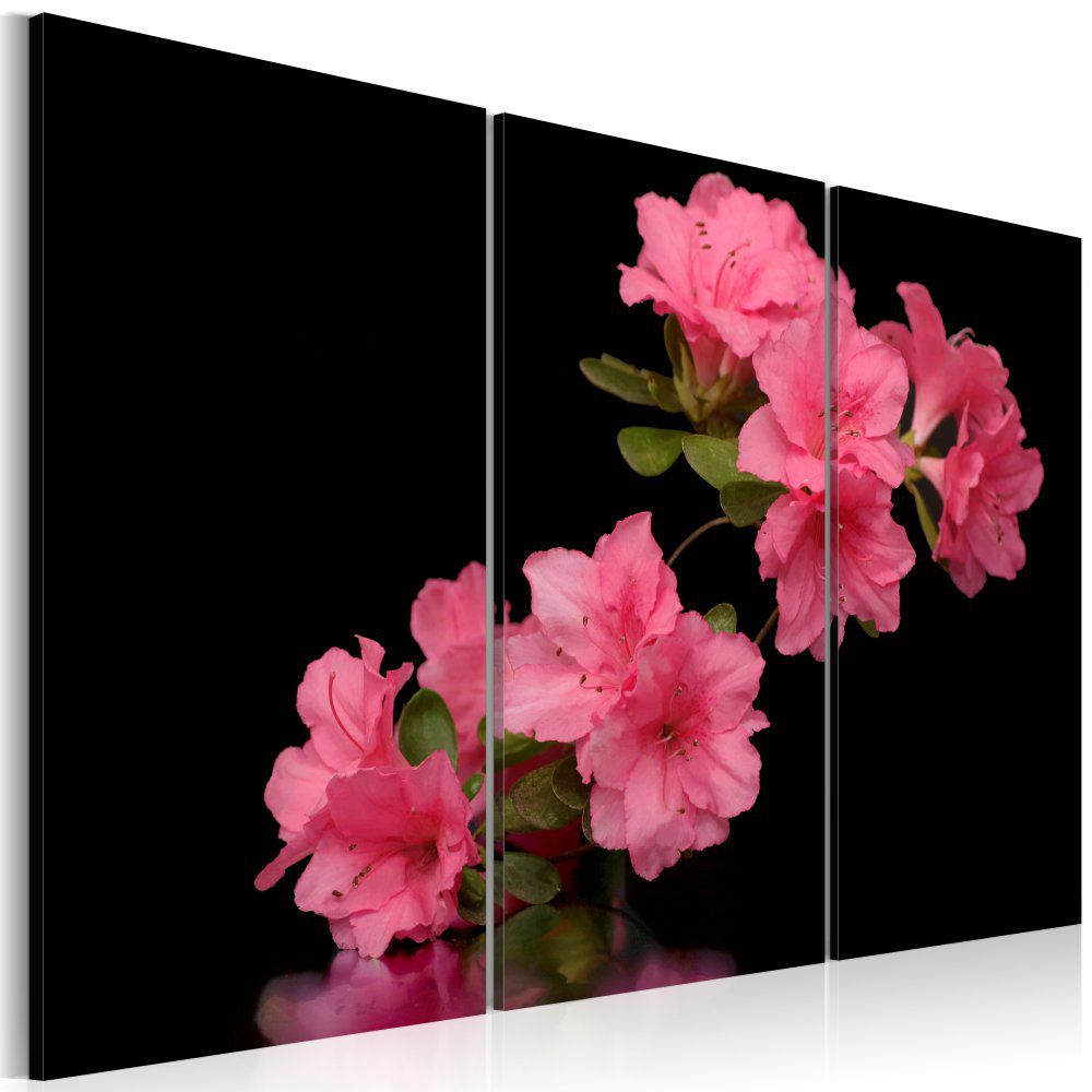 Obraz na plátně Bimago - Třešňové květy 60x40 cm - GLIX DECO s.r.o.