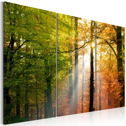 Obraz na plátně Bimago - Podzimní les 60x40 cm - GLIX DECO s.r.o.