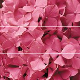 Dekor Fineza Velvet růžová Flowers 75x73 cm lesk DFLOWERS3