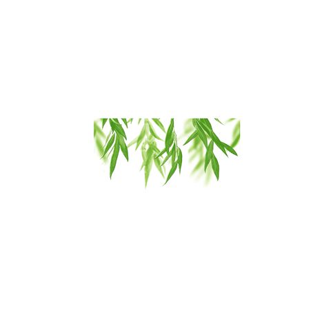 Dekor Pilch Salix Salix B koncový 30x45 cm, mat DSALIXB - Siko - koupelny - kuchyně