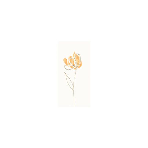 Dekor Rako Tulip oranžová 20x40 cm, lesk WITMB009.1 - Siko - koupelny - kuchyně