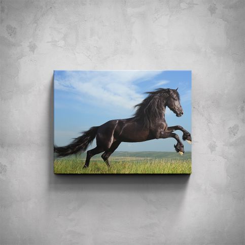 Obraz - Černý kůň - PopyDesign - Popydesign