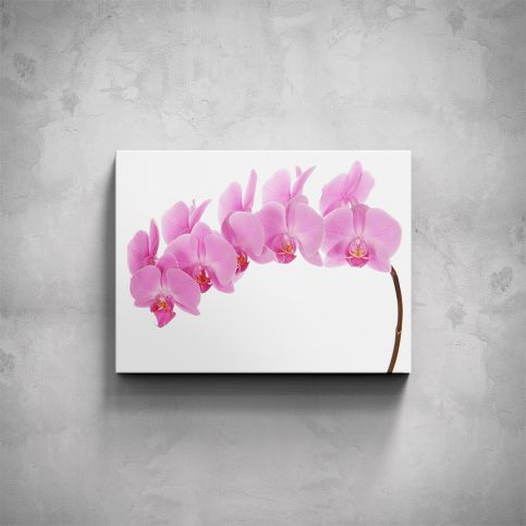 Obraz - Růžová orchidej - PopyDesign - Popydesign