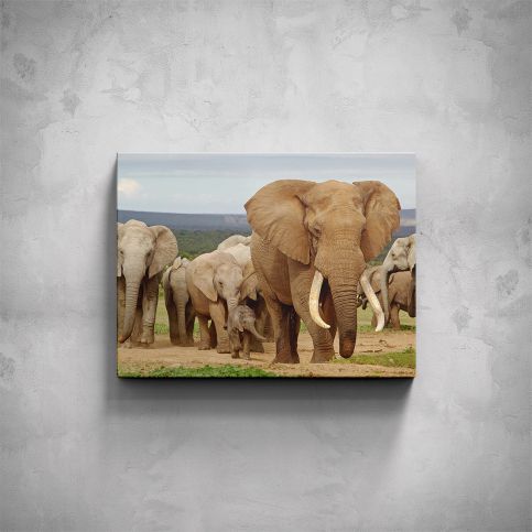 Obraz - Sloní stádo - PopyDesign - Popydesign