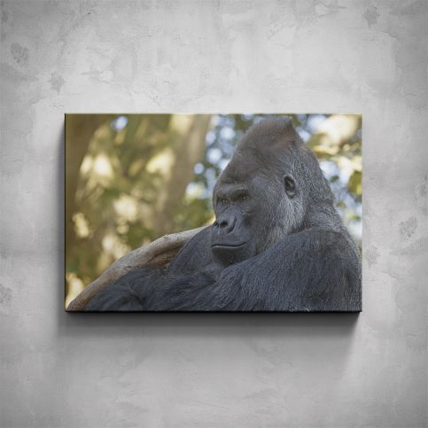 Obraz - Gorila profil - PopyDesign - Popydesign