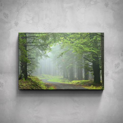Obraz - Lesní cesta - PopyDesign - Popydesign
