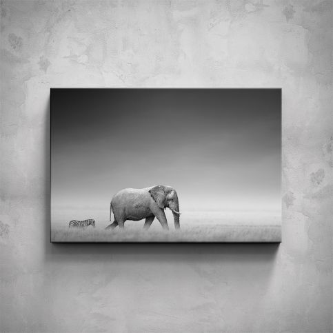 Obraz - Slon a zebra - PopyDesign - Popydesign