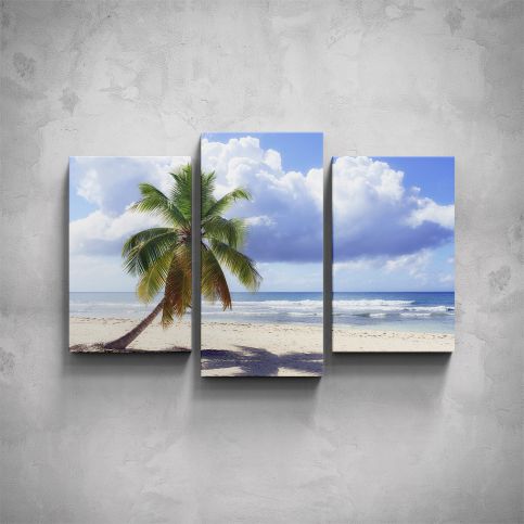 3-dílný obraz - Palma na pláži - PopyDesign - Popydesign