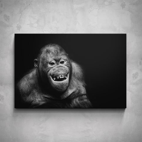 Obraz - Orangutan - PopyDesign - Popydesign