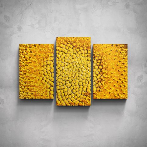 3-dílný obraz - Žlutý květ - PopyDesign - Popydesign