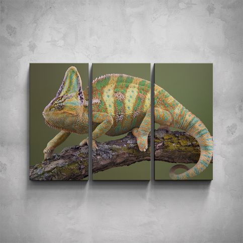 3-dílný obraz - Chameleon - PopyDesign - Popydesign