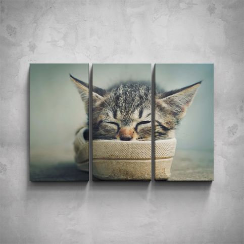 3-dílný obraz - Kotě v botě - PopyDesign - Popydesign