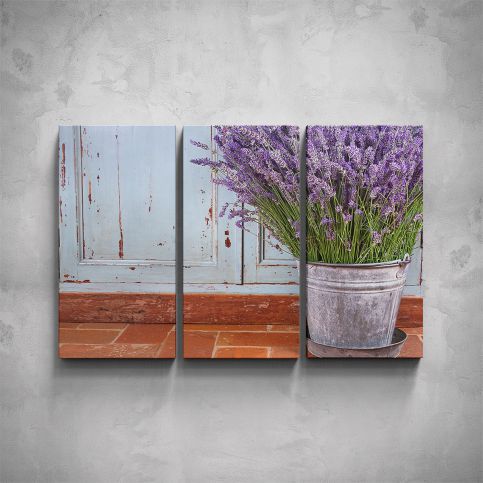 3-dílný obraz - Levandule v květináči - PopyDesign - Popydesign