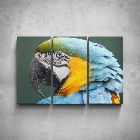 3-dílný obraz - Papoušek ARA - PopyDesign - Popydesign