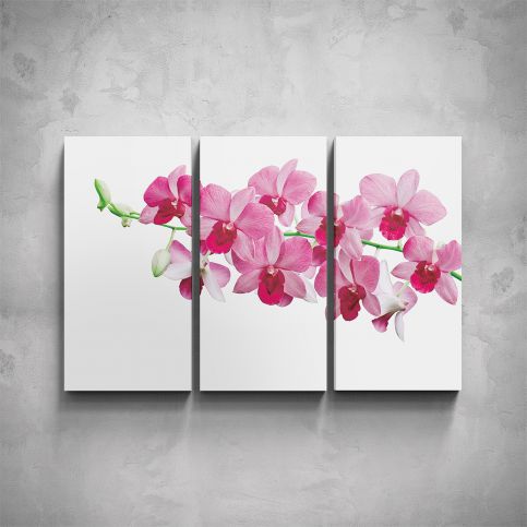 3-dílný obraz - Růžová orchidej - PopyDesign - Popydesign
