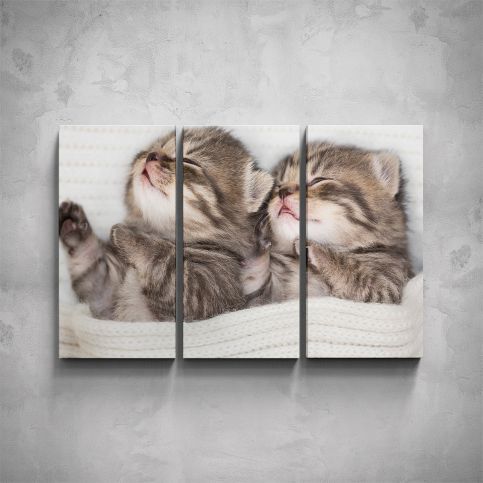 3-dílný obraz - Spící koťátka - PopyDesign - Popydesign