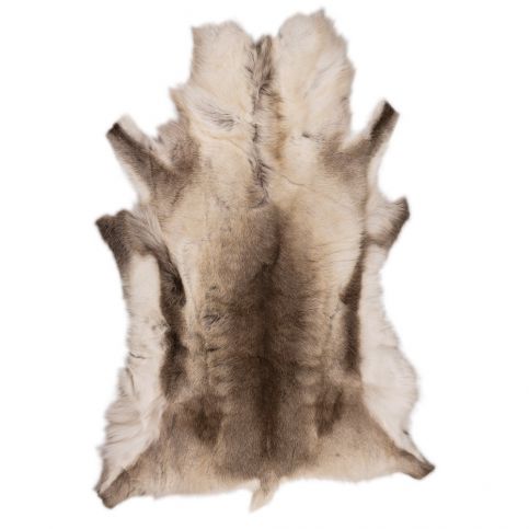 Hnědobéžová sobí kožešina Arctic Fur Reino, 120 x 100 cm - Bonami.cz
