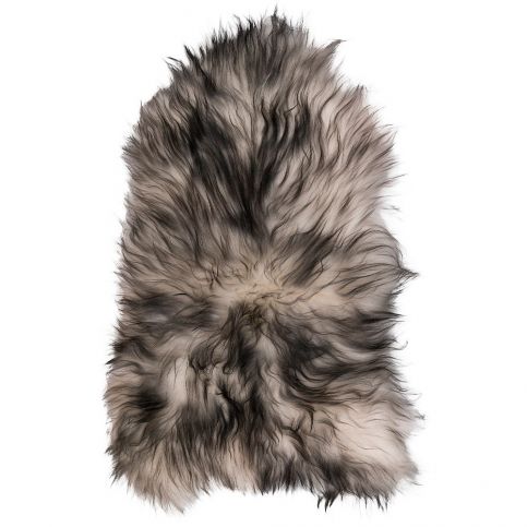 Hnědo-bílá ovčí kožešina s dlouhým chlupem Arctic Fur Ptelja, 100 x 60 cm - Bonami.cz