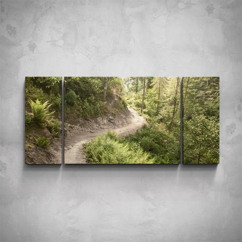 3-dílný obraz - Cesta v lese - PopyDesign - Popydesign