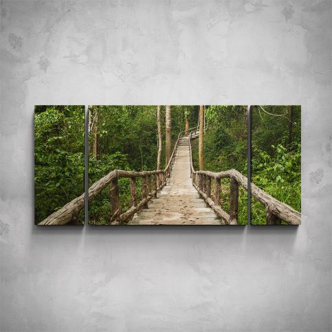 3-dílný obraz - Most v pralese - PopyDesign - Popydesign
