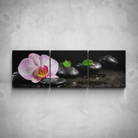 3-dílný obraz - Růžový květ orchideje - PopyDesign - Popydesign