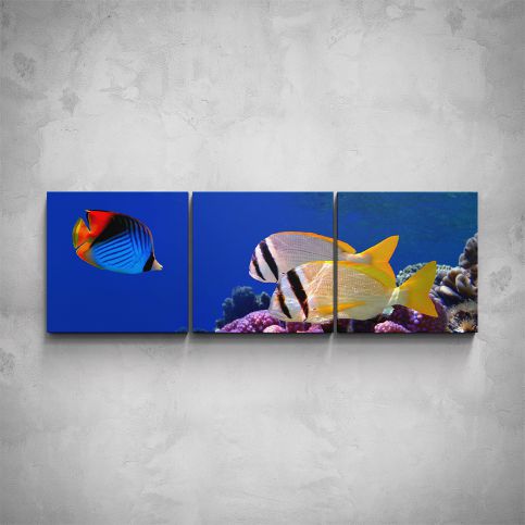 3-dílný obraz - Rybky v moři - PopyDesign - Popydesign