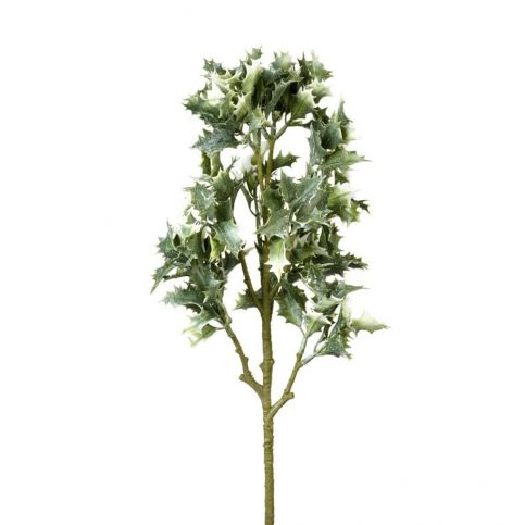 Dekorativní větvička Parlane Holly Leaves, délka 60 cm - Bonami.cz