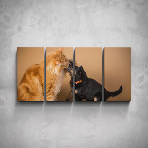 4-dílný obraz - Kočka a štěně - PopyDesign - Popydesign