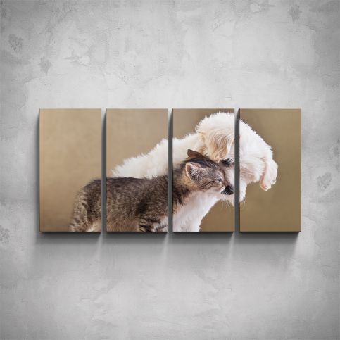 4-dílný obraz - Pes a kotě - PopyDesign - Popydesign