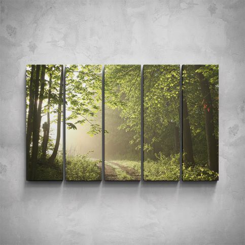 5-dílný obraz - Cesta z lesa - PopyDesign - Popydesign