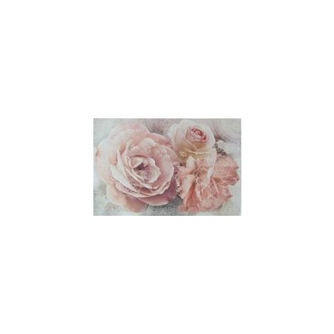 Dekor Venus Joy roses 50x70 cm, lesk DJOYROS - Siko - koupelny - kuchyně