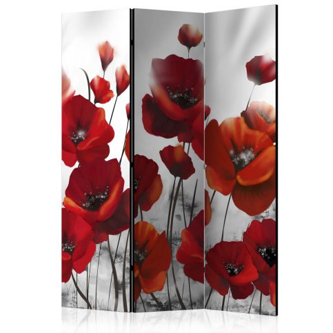 Paraván - Poppies in the Moonlight [Room Dividers] - 135x172 - 4wall.cz