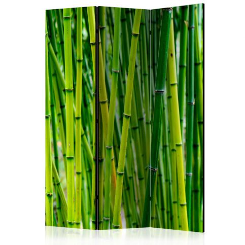 Paraván - Bamboo Forest [Room Dividers] - 135x172 - 4wall.cz