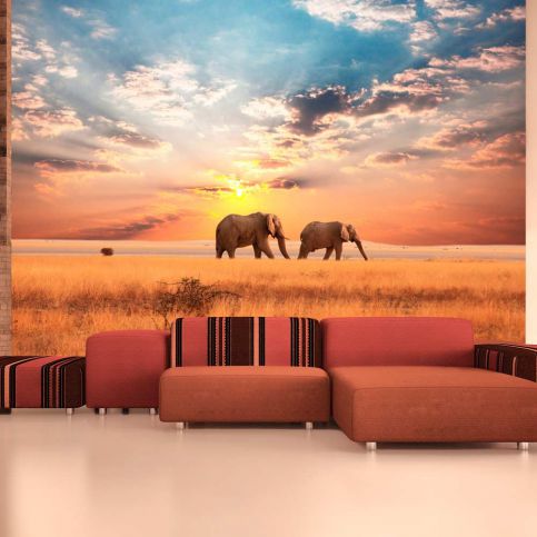 Fototapeta - African savanna elephants - 300x231 - 4wall.cz