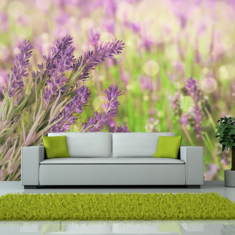 Fototapeta - Lavender gardens - 300x231 - 4wall.cz