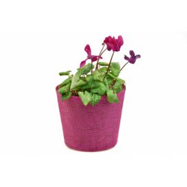 Vingo Květináč růžový s igelitovou vložkou - 15 x 13 cm