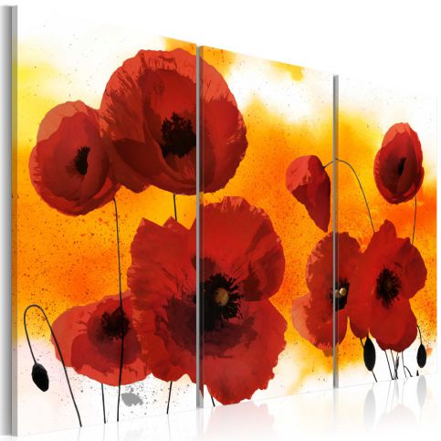 Obraz - Sunny afternoon and poppies - 120x80 - 4wall.cz