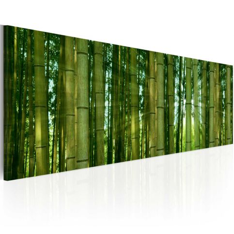 Obraz - Canvas print - Bamboo in the sunshine - 120x40 - 4wall.cz
